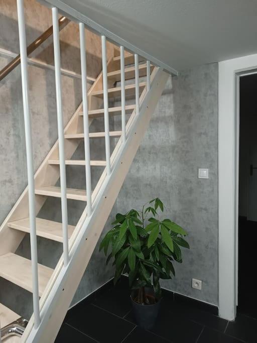 Gite Chez L'Oncle Paul Urschenheim Exteriör bild